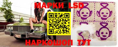 спайс Кандалакша