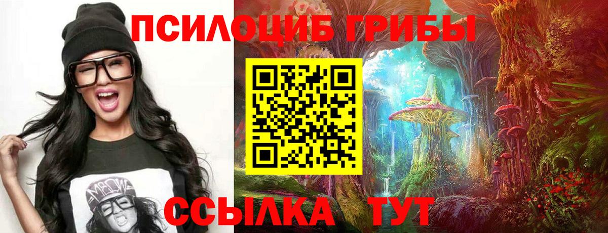 Псилоцибиновые грибы Cubensis  Вход с VPN  Лангепас 
