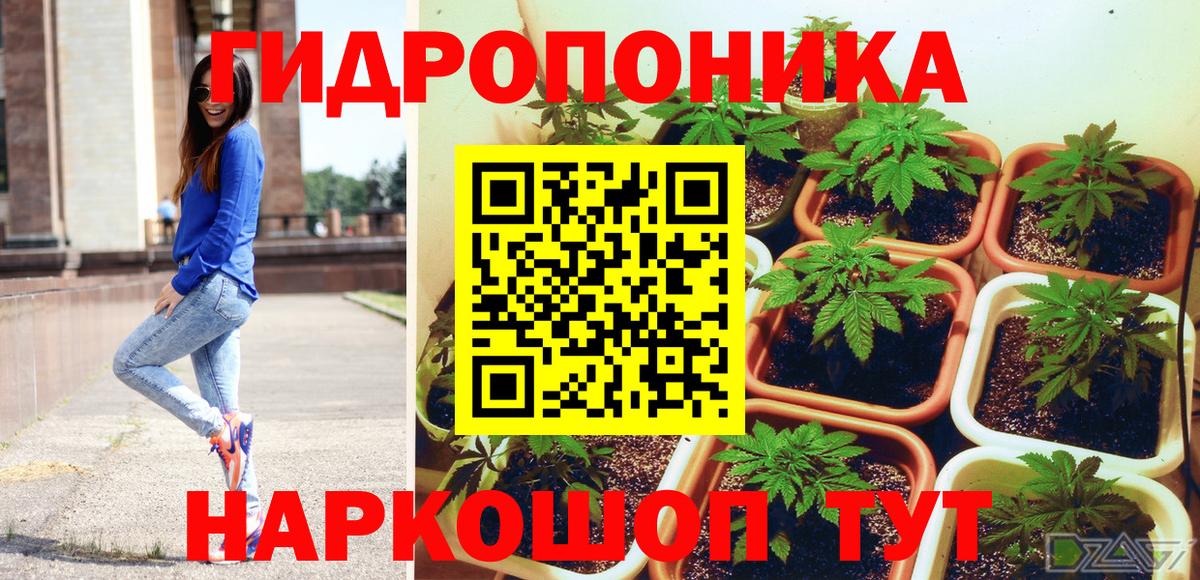 Бошки Шишки THC 21% Лангепас